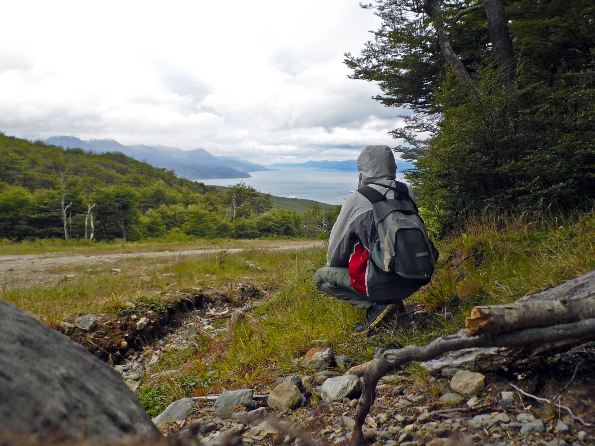 Overlooking the bay.