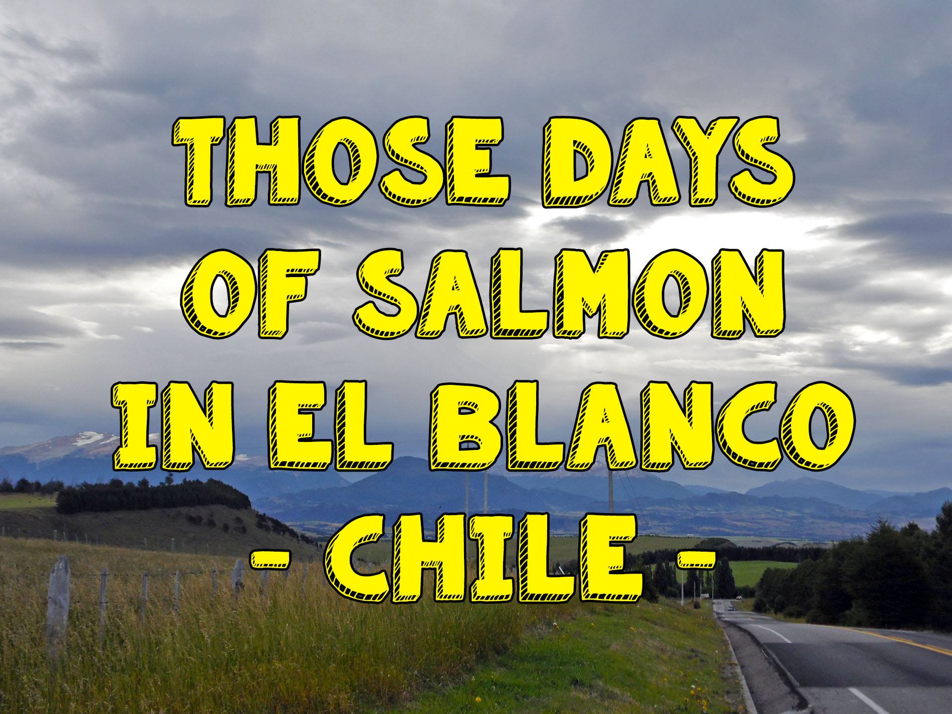 Travel Story: Salmon | Chile | The Journey and The People
