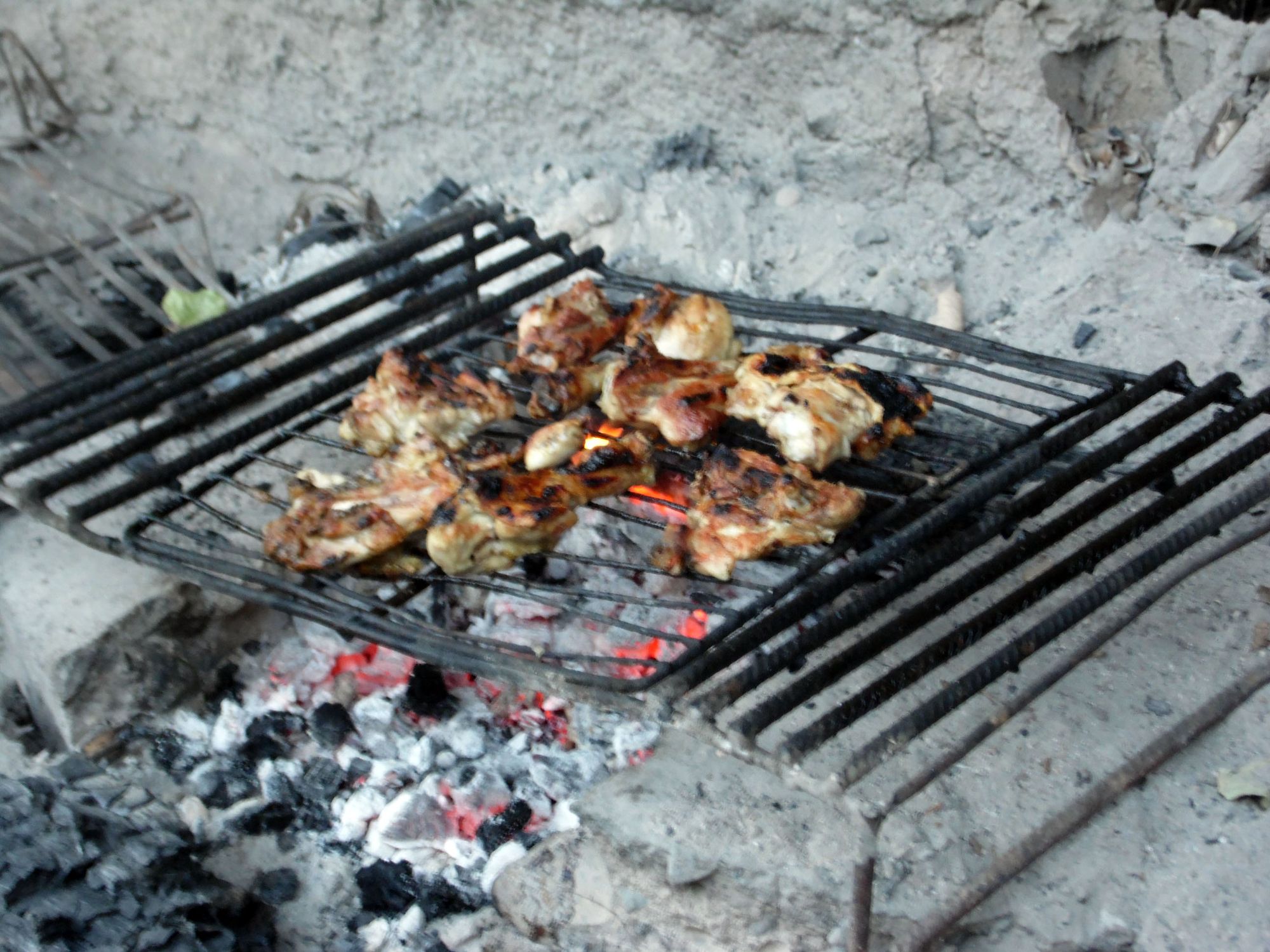Sexy Pollo