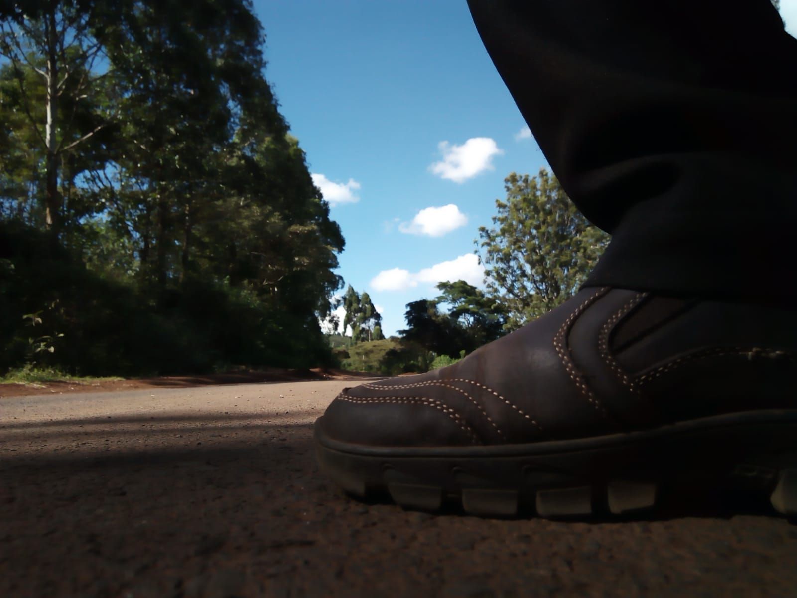 Day[2](read day 3): Nature photography on my daily tiny travels across the forest.