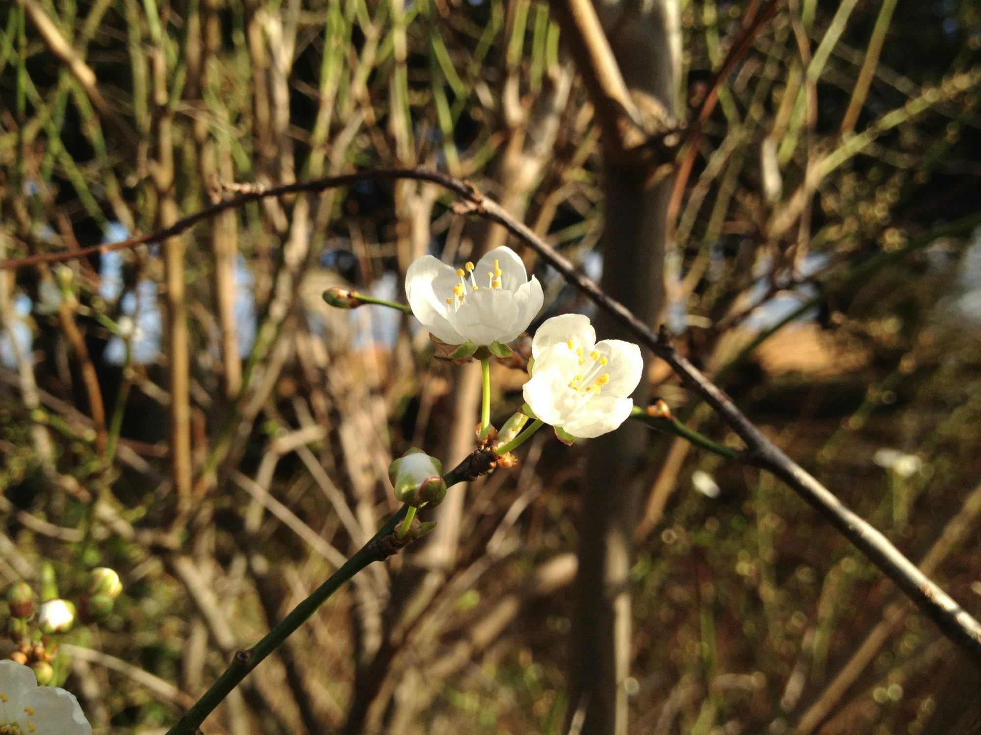 This picture always has been my favourite!