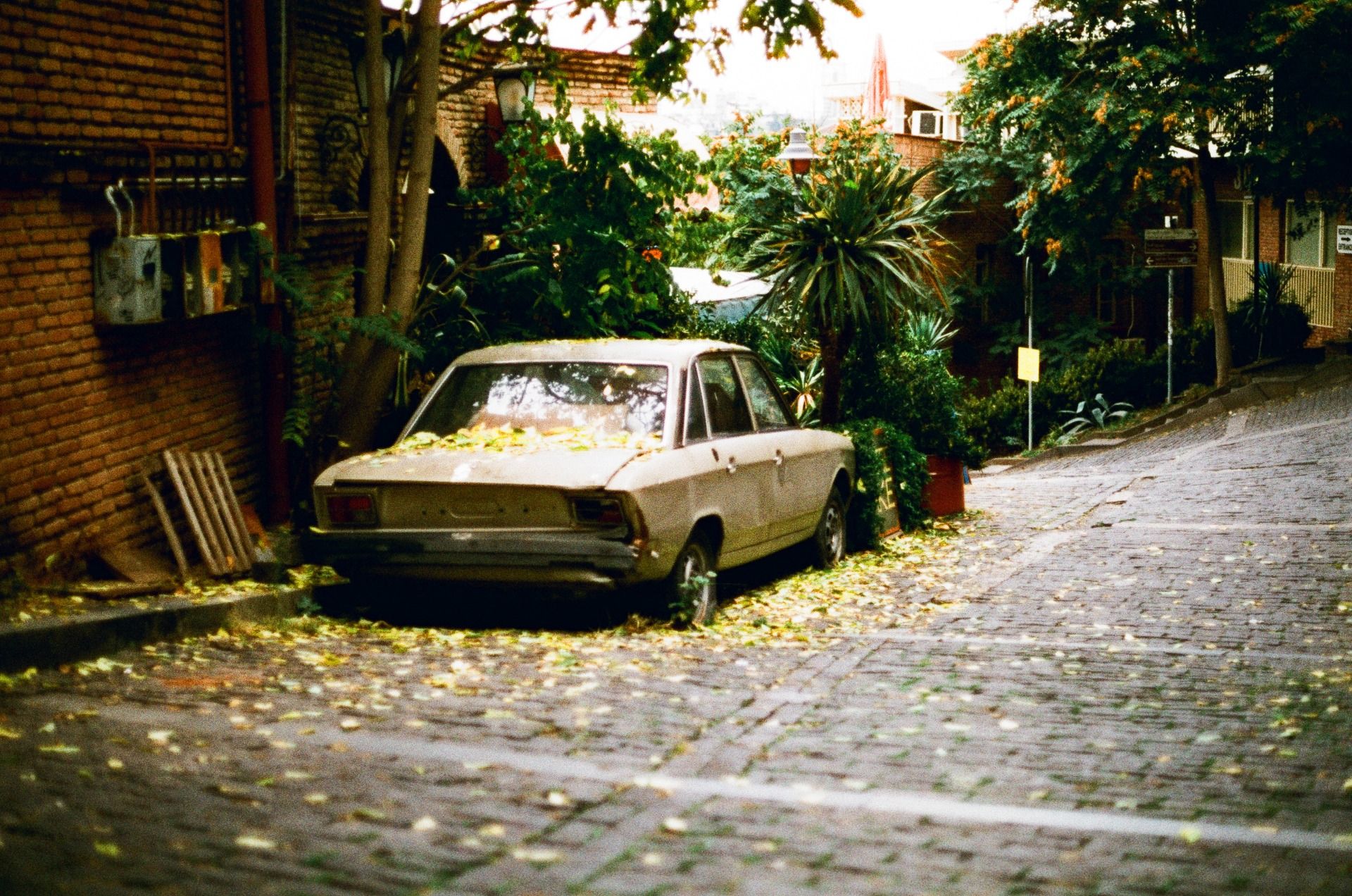 Finally some more 35mm film goodness! Tbilisi, Georgia in summer