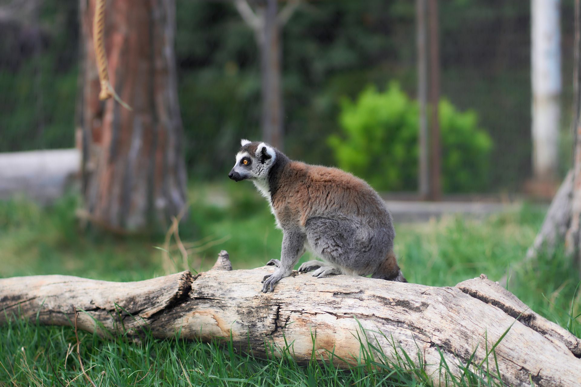 Asia - Weekly Round-Up #371