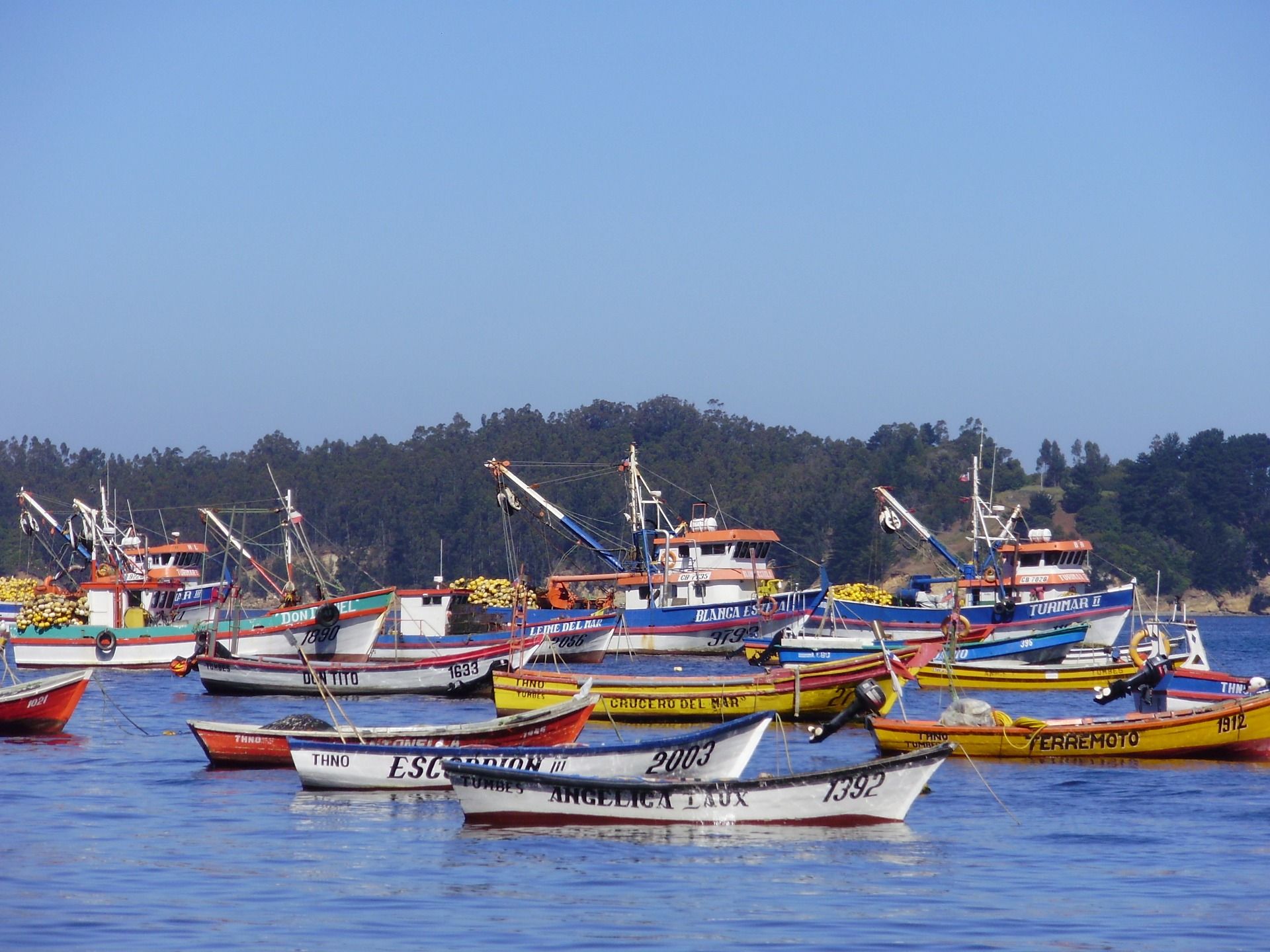 Fishing Port