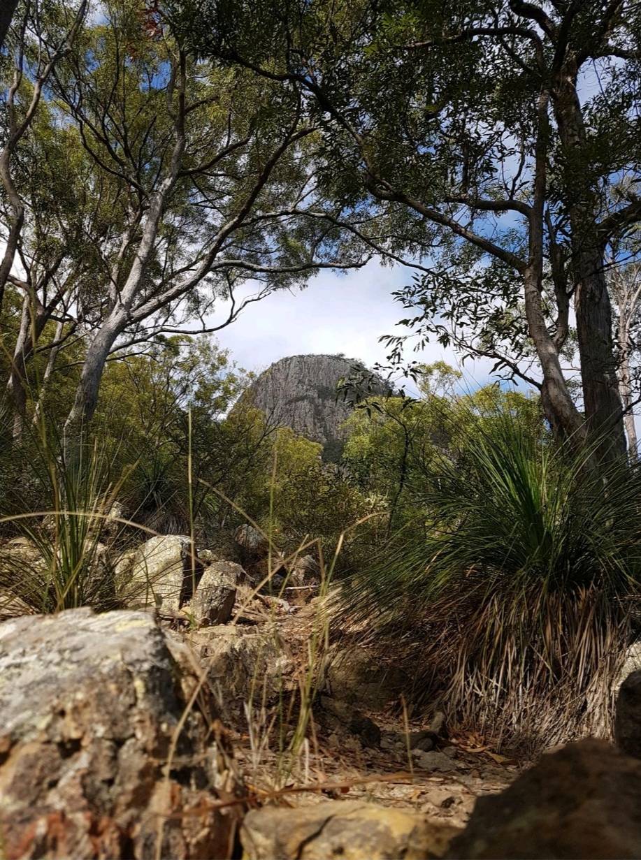 It is one of 7 peaks in the Mt. Barney National Park, which is located in the Macpherson Range, 12 kilometres west of Rathdowney. It’s about 2 hours drive south west of Brisbane City.