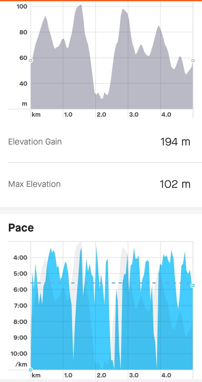 Screenshot of Strava showing the elevation and my pace for this very hard parkrun.