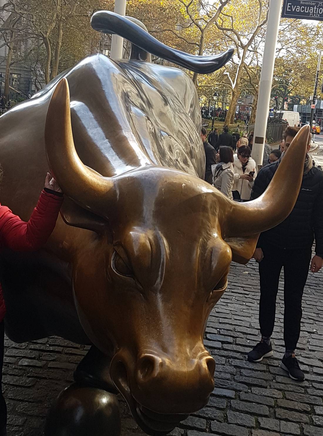 Charging Bull on Wall Street