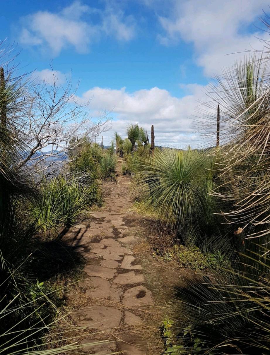 It looked like all the stones had been formed to make a nice path that suited the Xanthorrhoea trees (grass trees) perfectly.