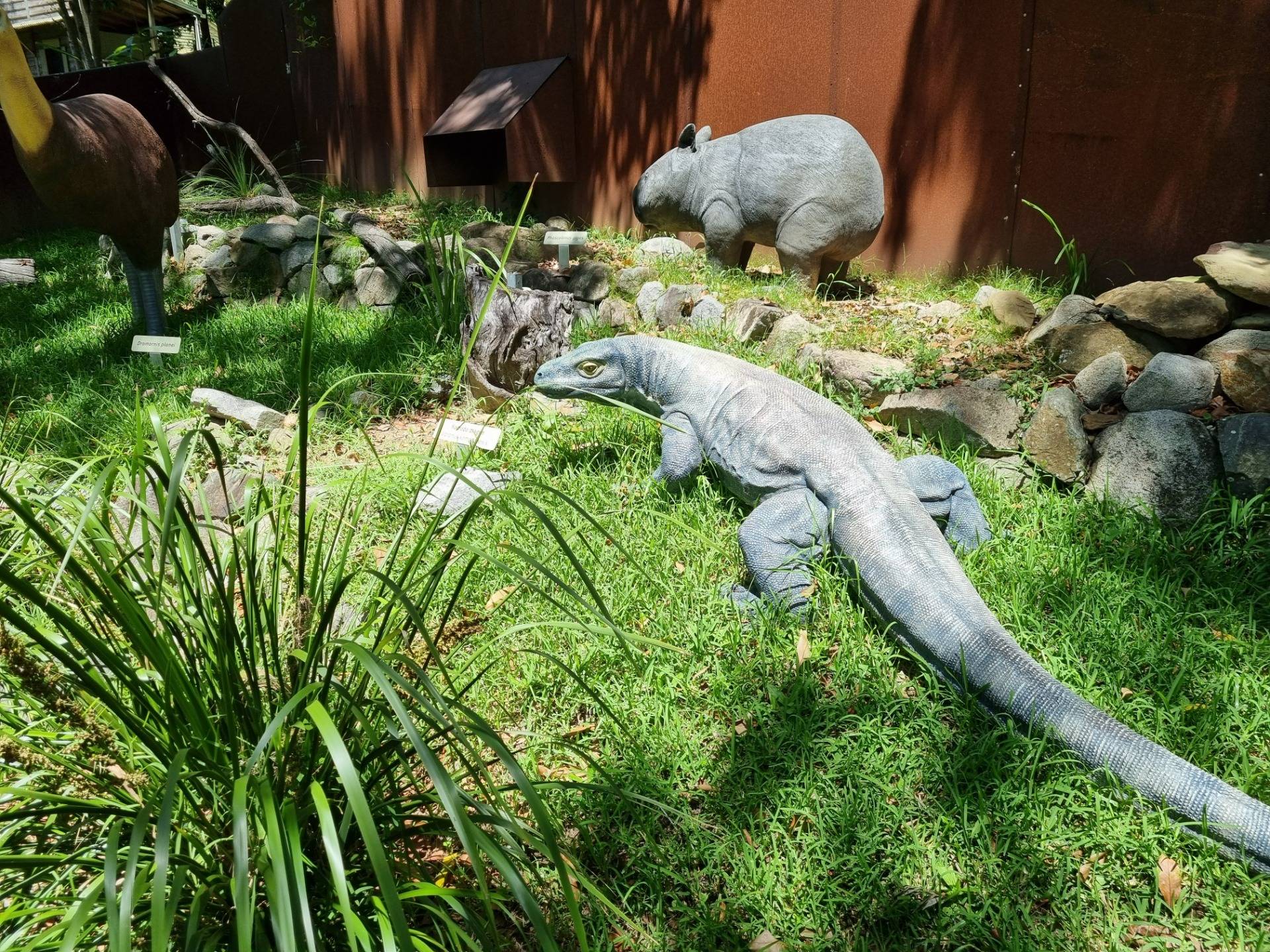 Models of some of the other giant megafauna (animals) that used to roam around Australia including a giant kind of wombat (at the back) and a supersized lizard (at the front).