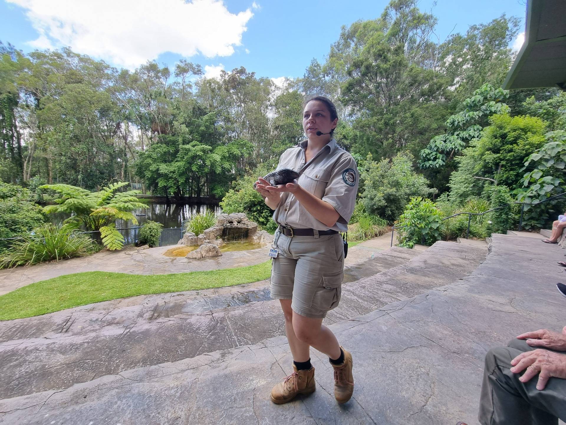 David Fleay Wildlife Park, Gold Coast, Queensland