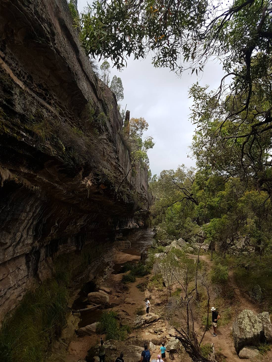 We did not see many people along the track but there was quite a few exploring the Drip Gorge area.