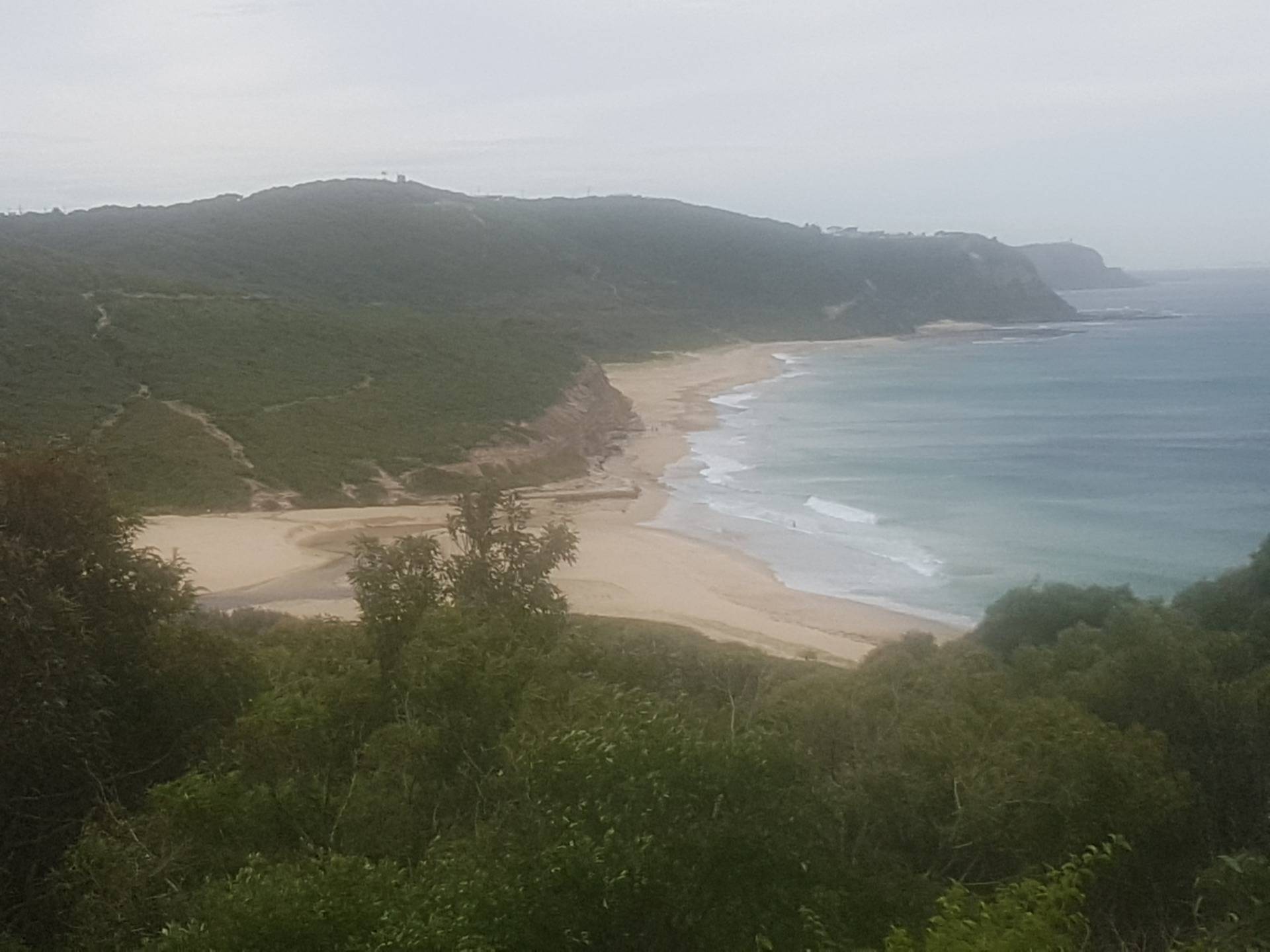 A view of Burwood or Glenrock beach from the top of the hill depending on who you talk to.