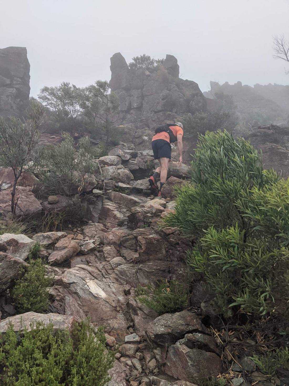Navigation was a bit harder with all the mist but still a pretty easy, well worn path to follow as long as you paid attention. There was also a little bit of rock scrambling to finally get to the top. A great hike for experienced bushwalkers but not for newbies.