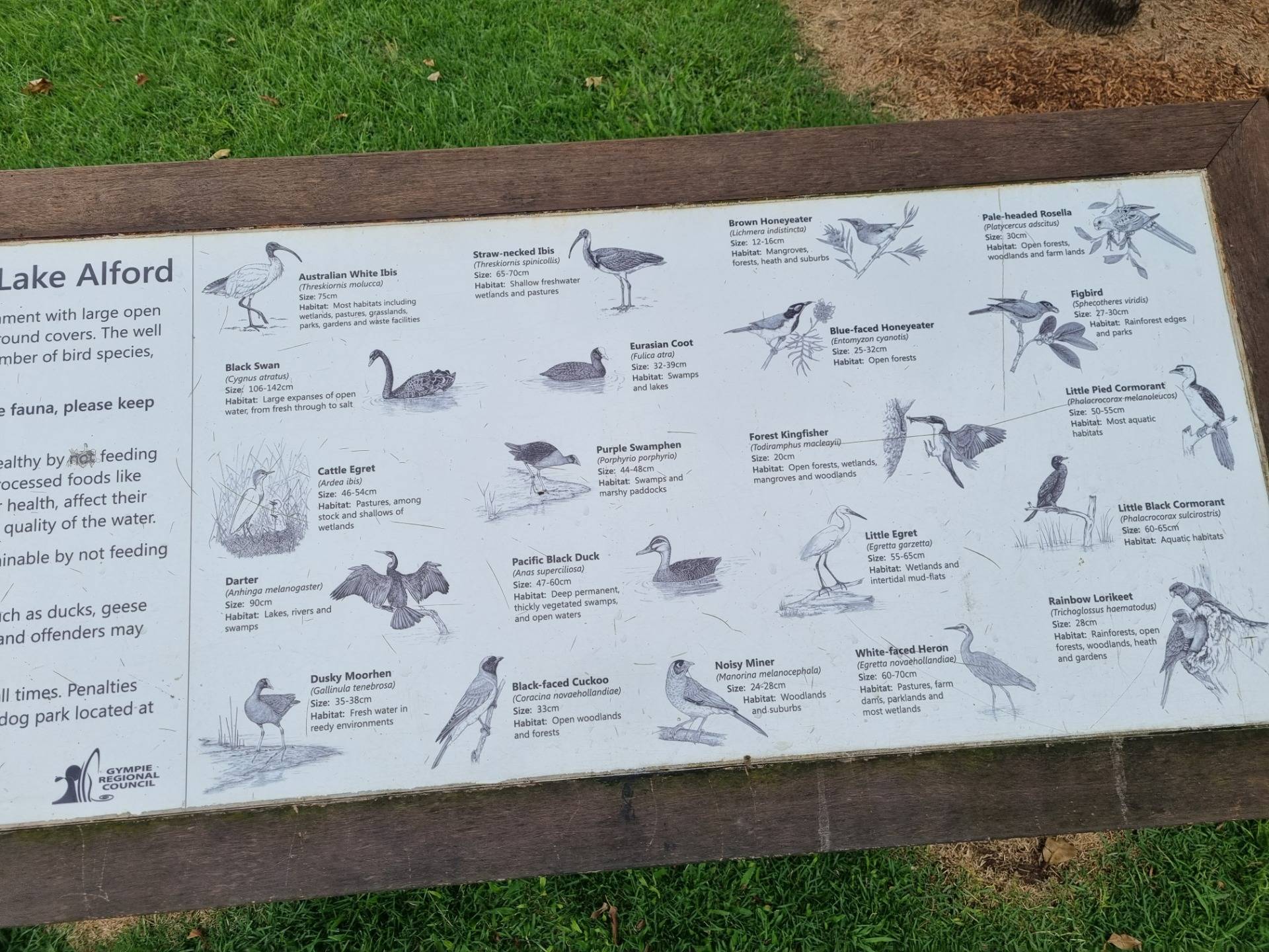 So many different types of birds all the in one spot. (Photo of a sign at the park)
