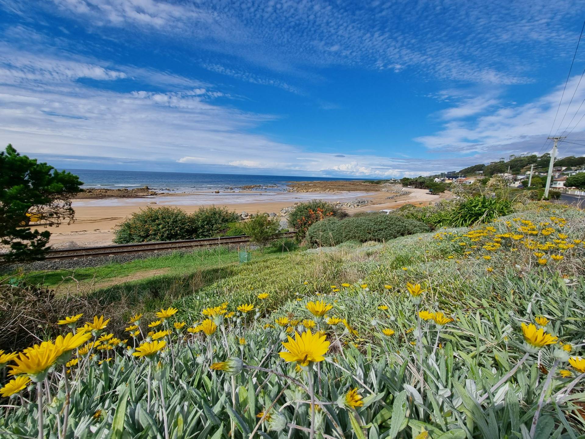 The same Watson’s beach with different lovely flowers in the foreground. You can see the train line that runs right by people’s houses and this beach.