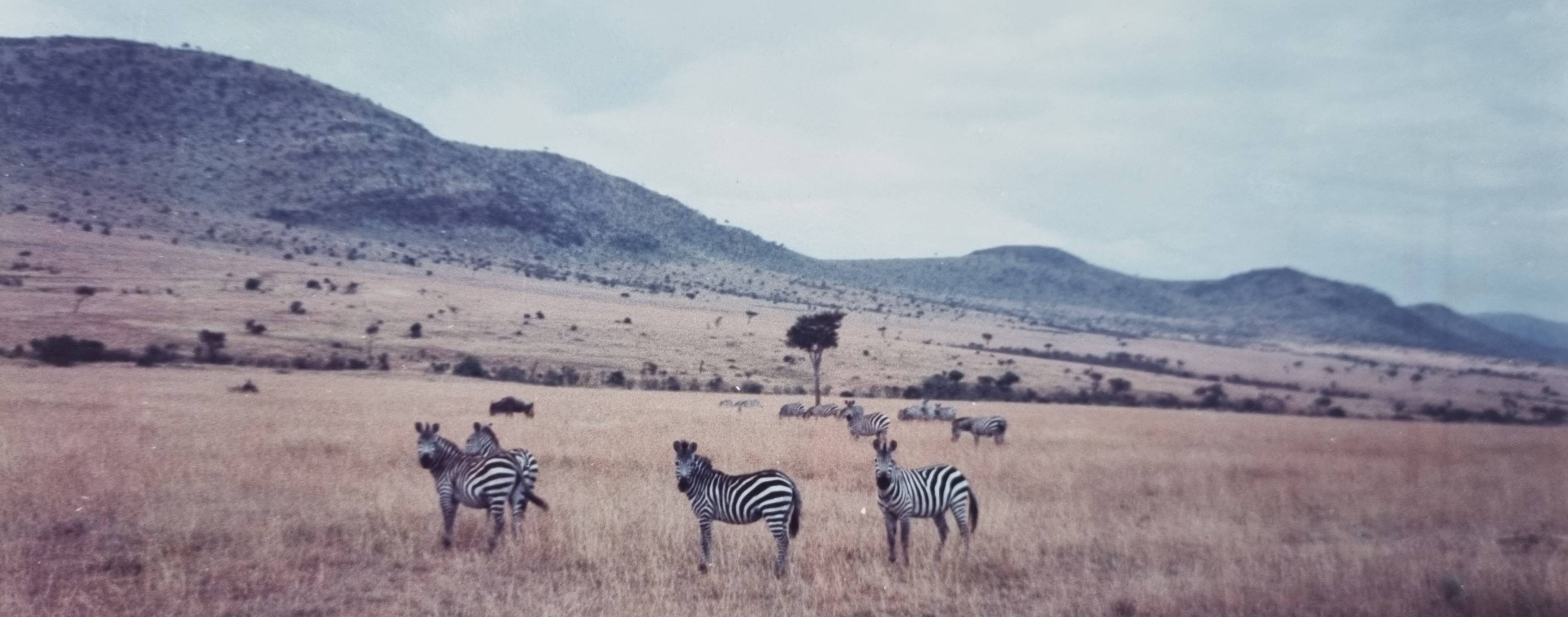 Maasai Mara National Reserve Safari, Kenya 1991