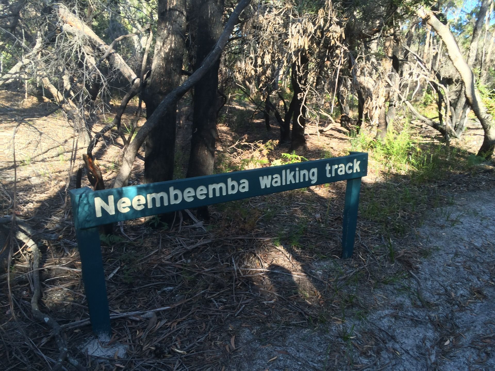 We did a bit of hiking as well but they there more interested in the 4 wheel driving.