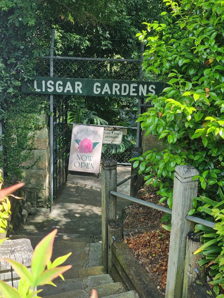Hidden away an hours drive north west of Sydney’s Central business district is the luscious Lisgar Gardens. Originally a private garden owned and developed on the steep hill side now purchased and maintained by the Hornsby Shire Council.