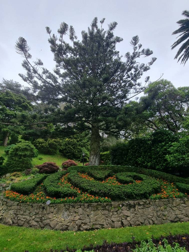 Wellington Botanic gardens