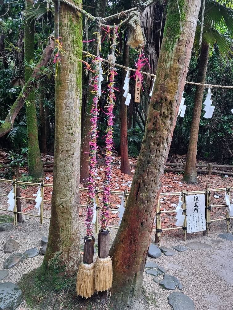 There was a permanent small stall where you could pay to get a string to tie around this thread hanging from the tree for good luck.