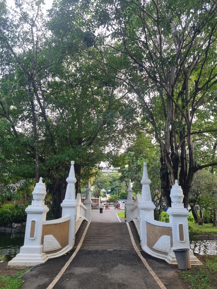 It’s full name is Suan satarana nong buak hat the first two words mean public garden and the last bit means marsh made into a beach.