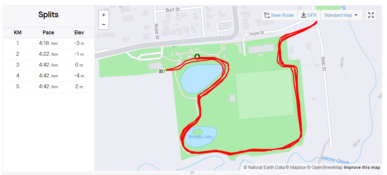 A double out and back course on my strava file.