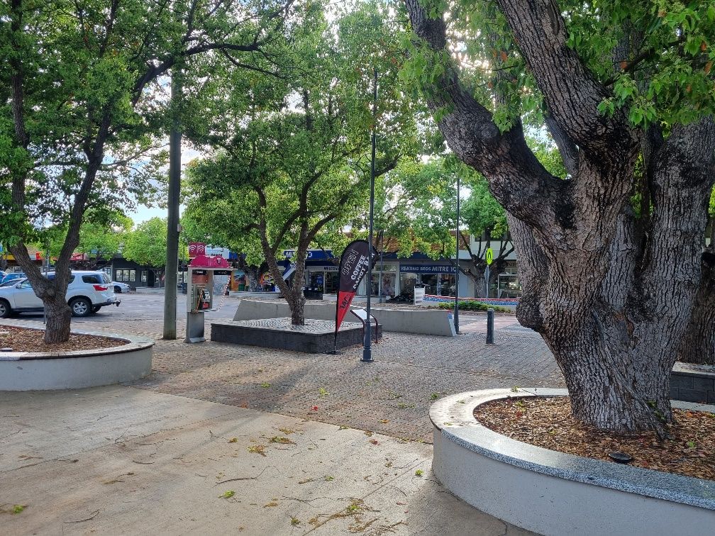 I bet in summer these nice trees give some much needed shade.