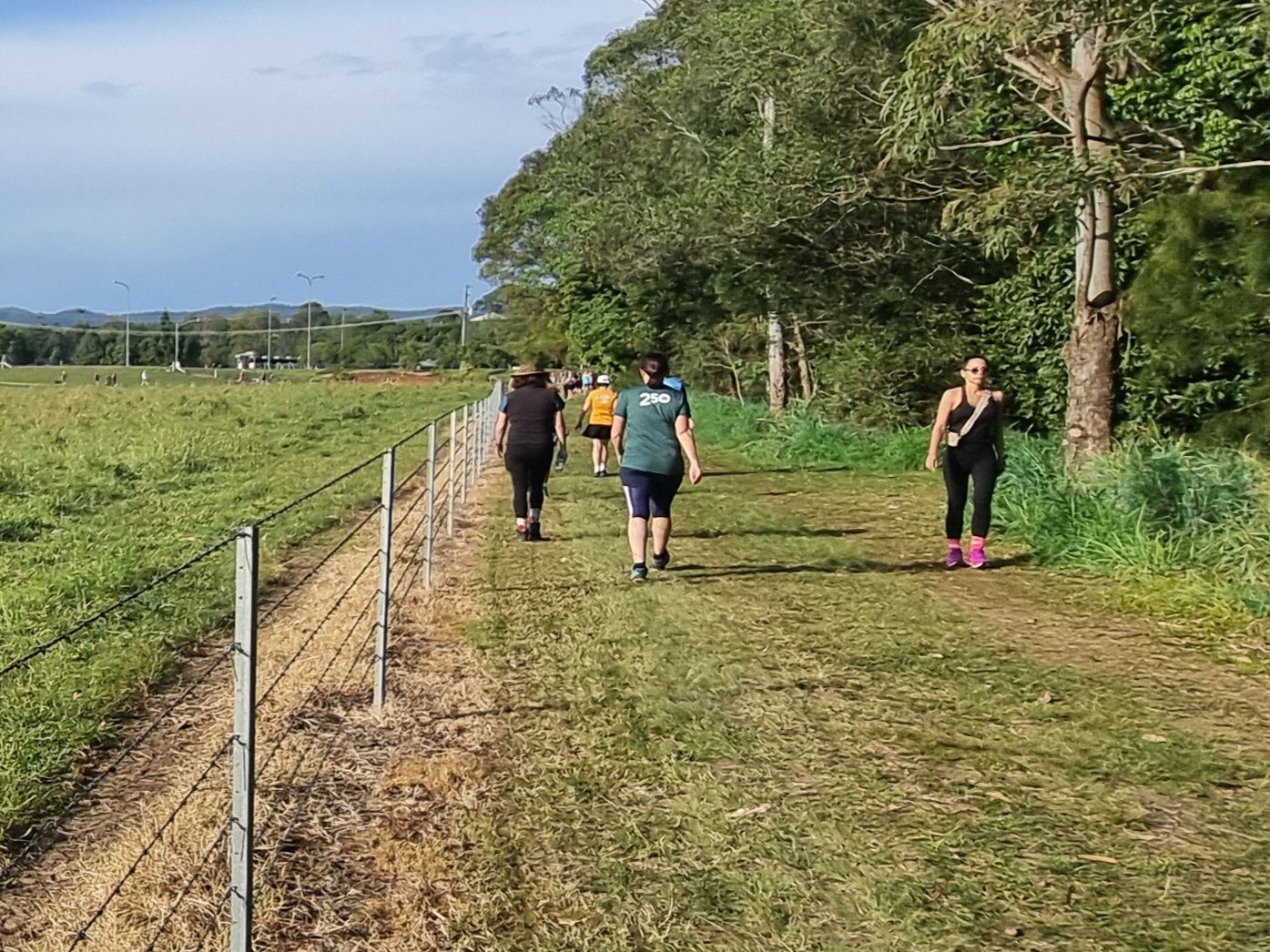 You have to watch the barbed wire on the paddock fence.