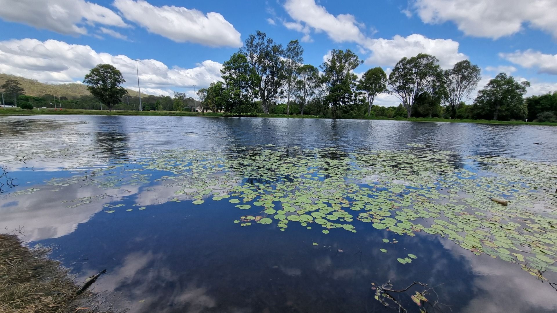 Yowie park, Kilcoy, Queensland, Australia.