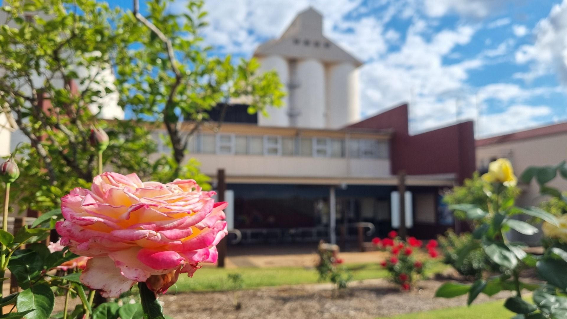 Colorful Kingaroy, Queensland, Australia