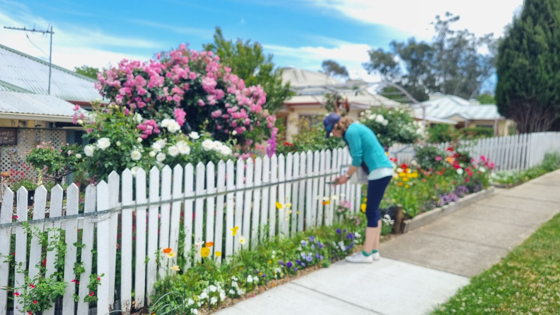 Some of the locals had great gardens full of flowers.