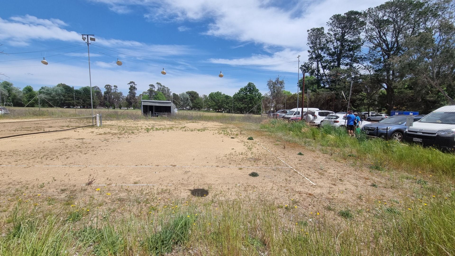 The local tennis court needs a bit of work.