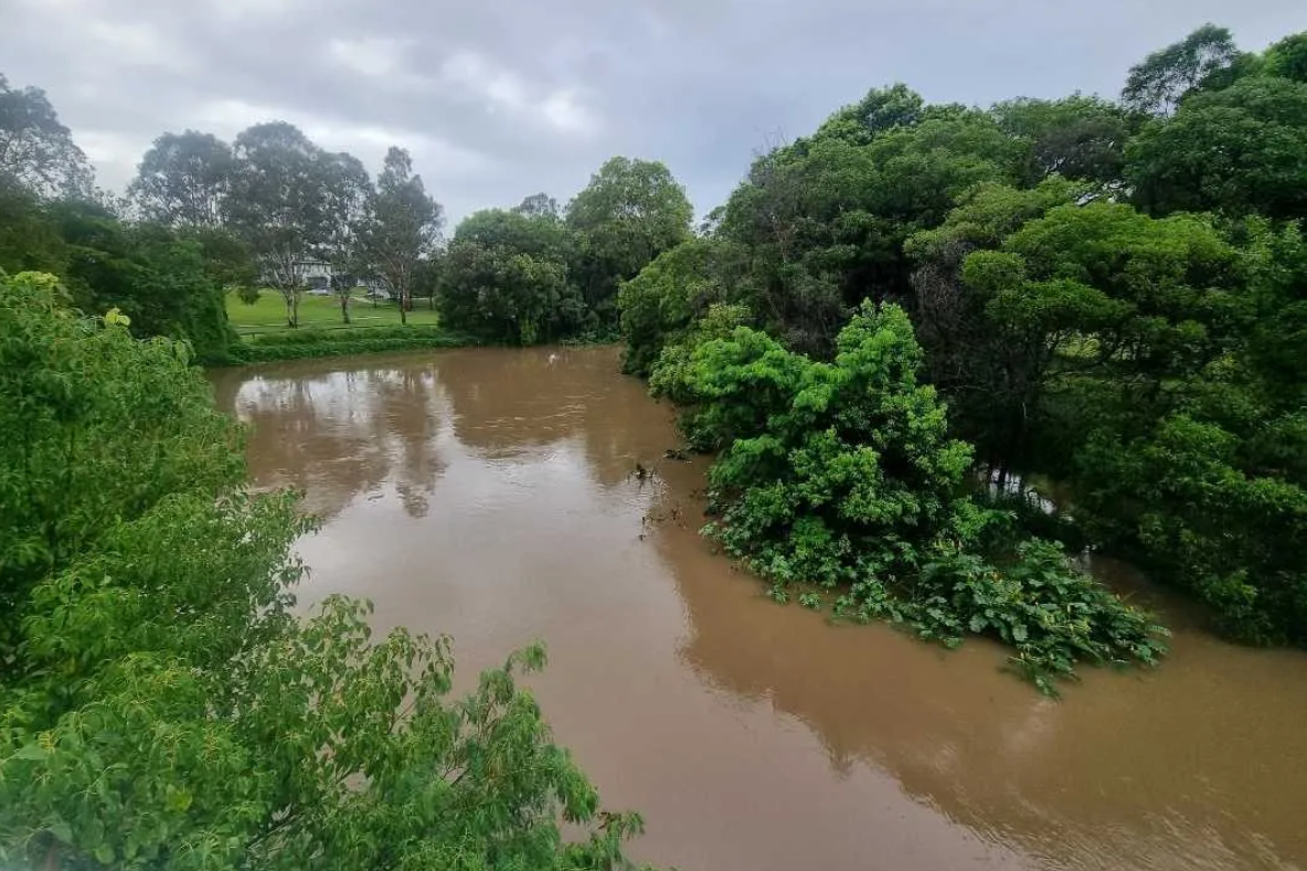 The creek seems different every time we visit depending mainly on how much rain they have had in the days before.