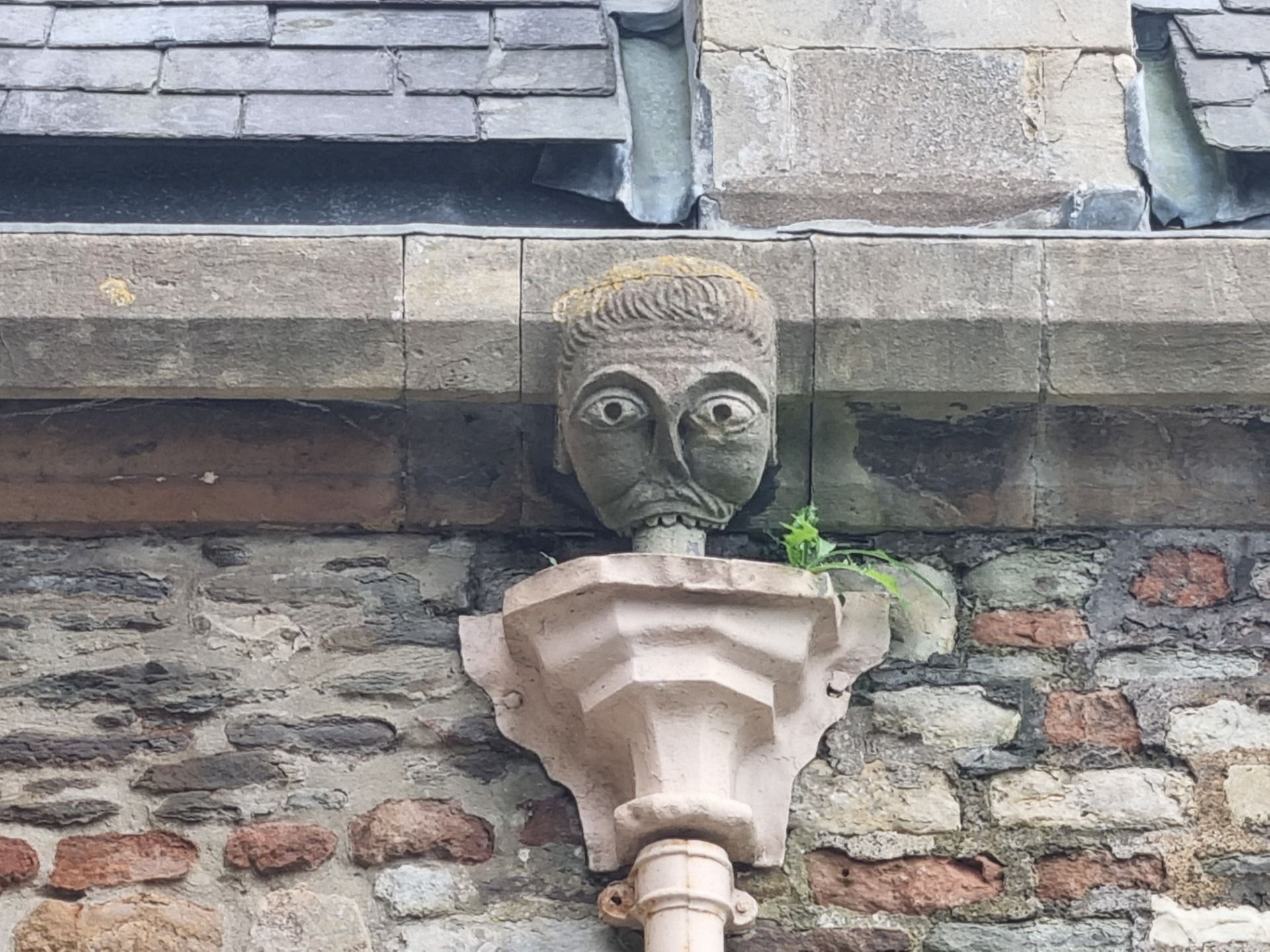 Wow that looks like a lot of work for a down pipe. I have never seen anything like it. I think this sort of things helped ward off evil. It must have looked weird if water used to come out of its mouth if it rained hard.