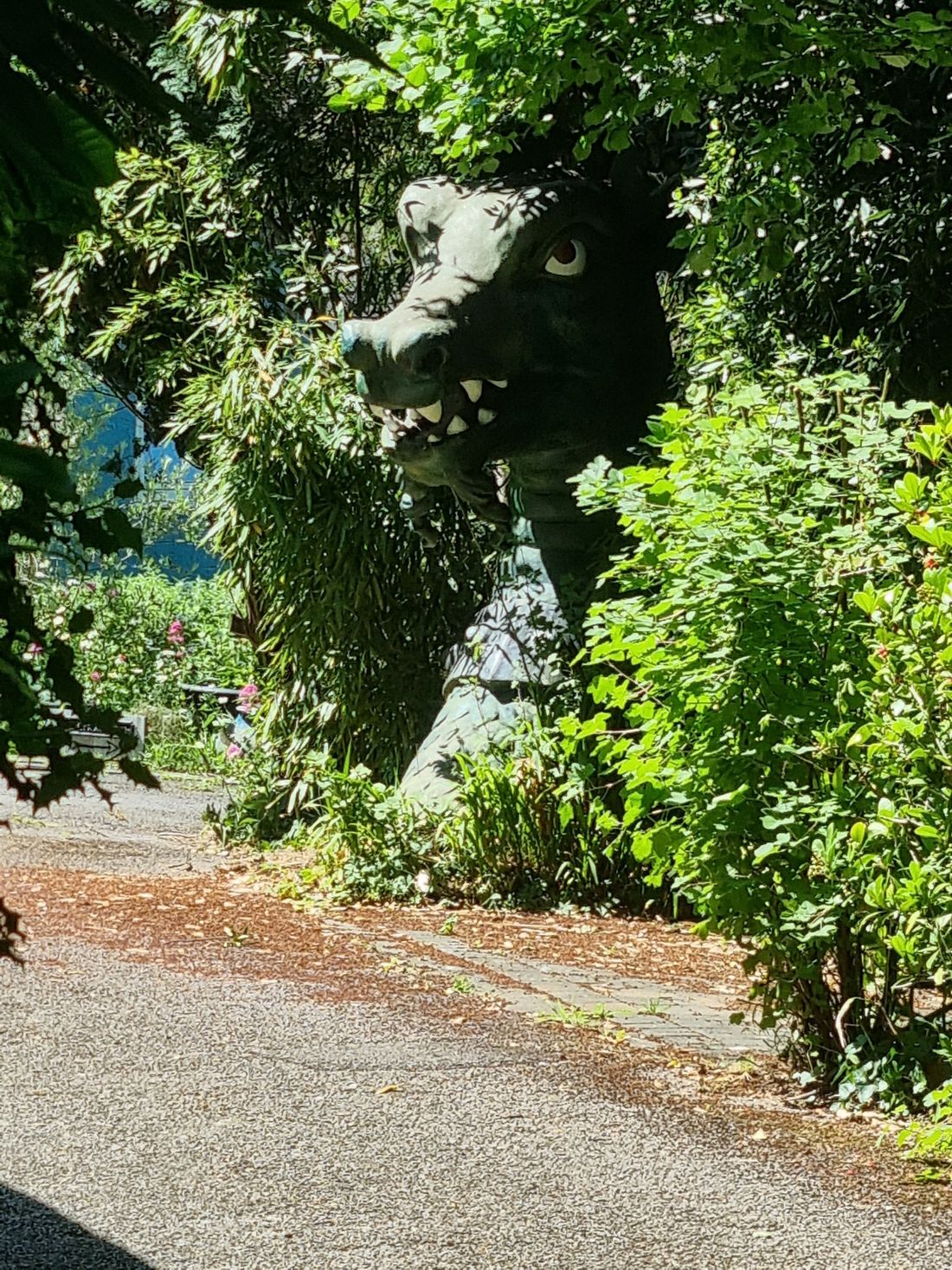 A dragon sculpture in somebody front yard on Woodland’s Drive