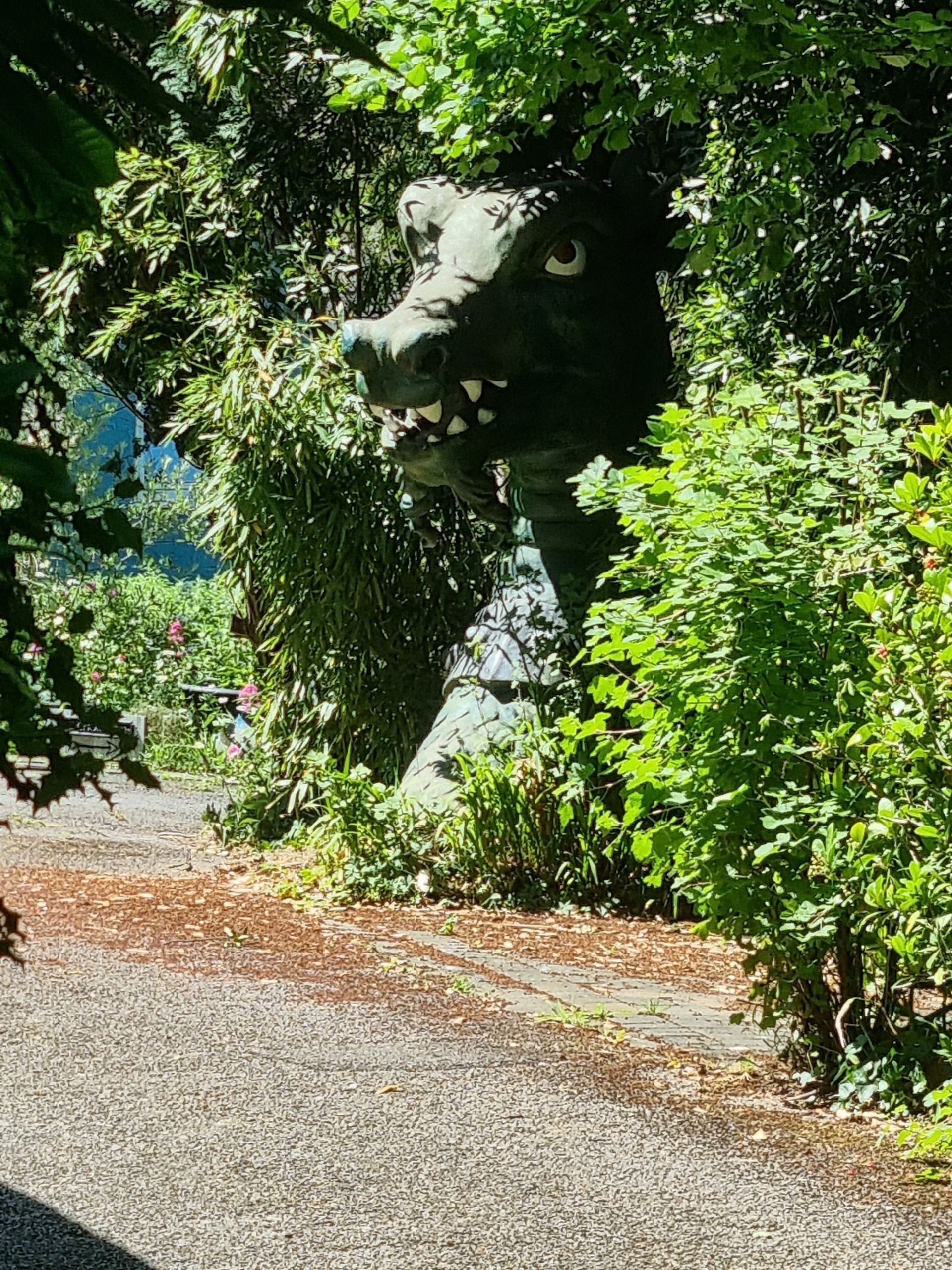 A dragon sculpture in somebody front yard on Woodland’s Drive