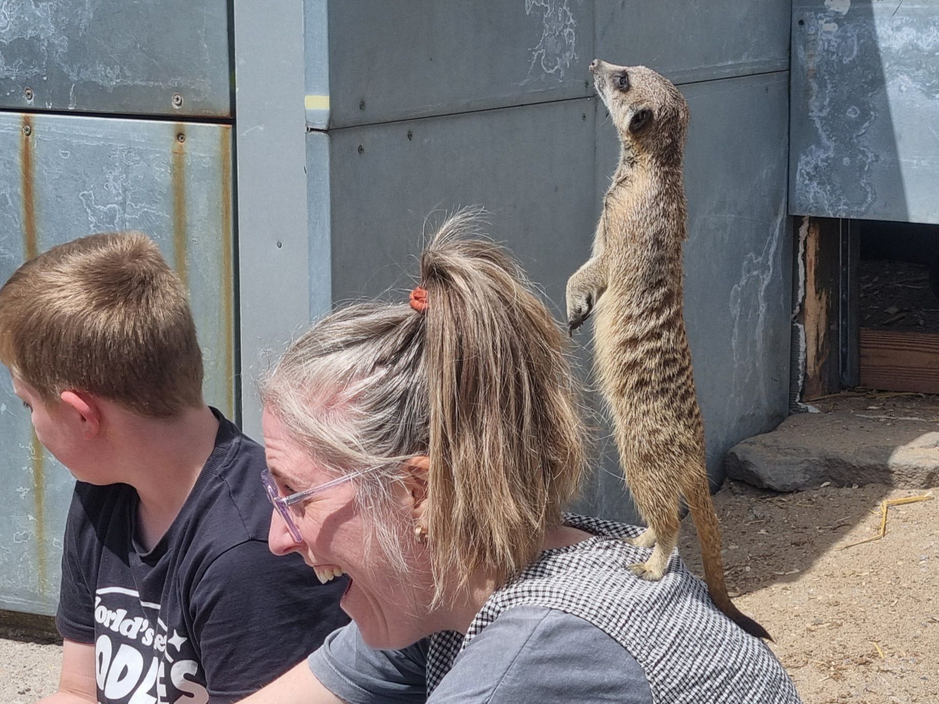 Some people paid extra for a close encounter.