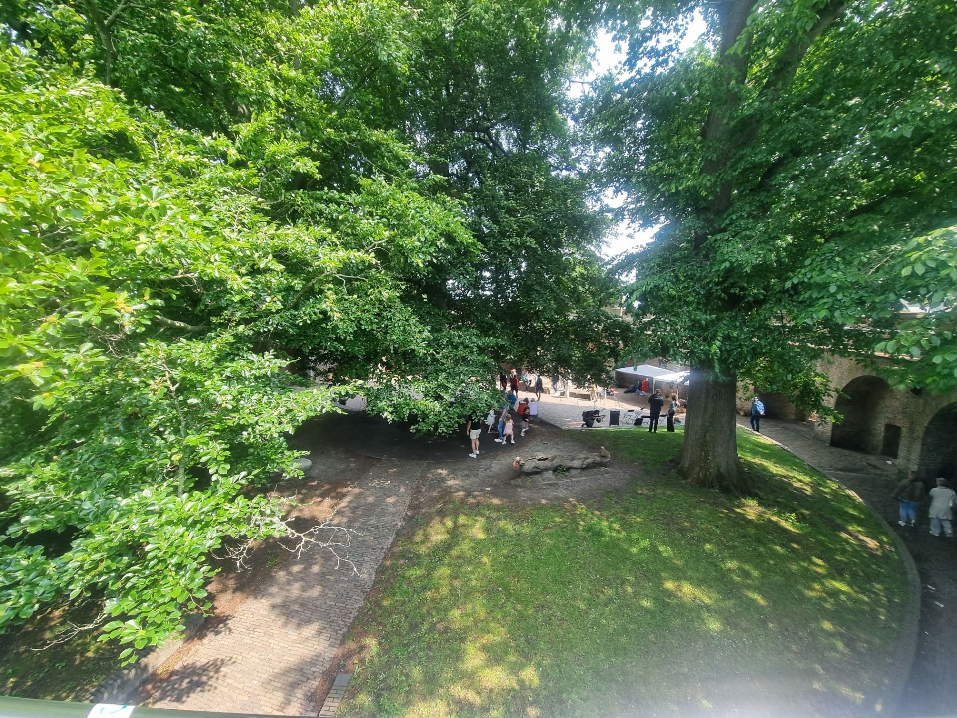 They say there was some sort of tower where the trees now are.