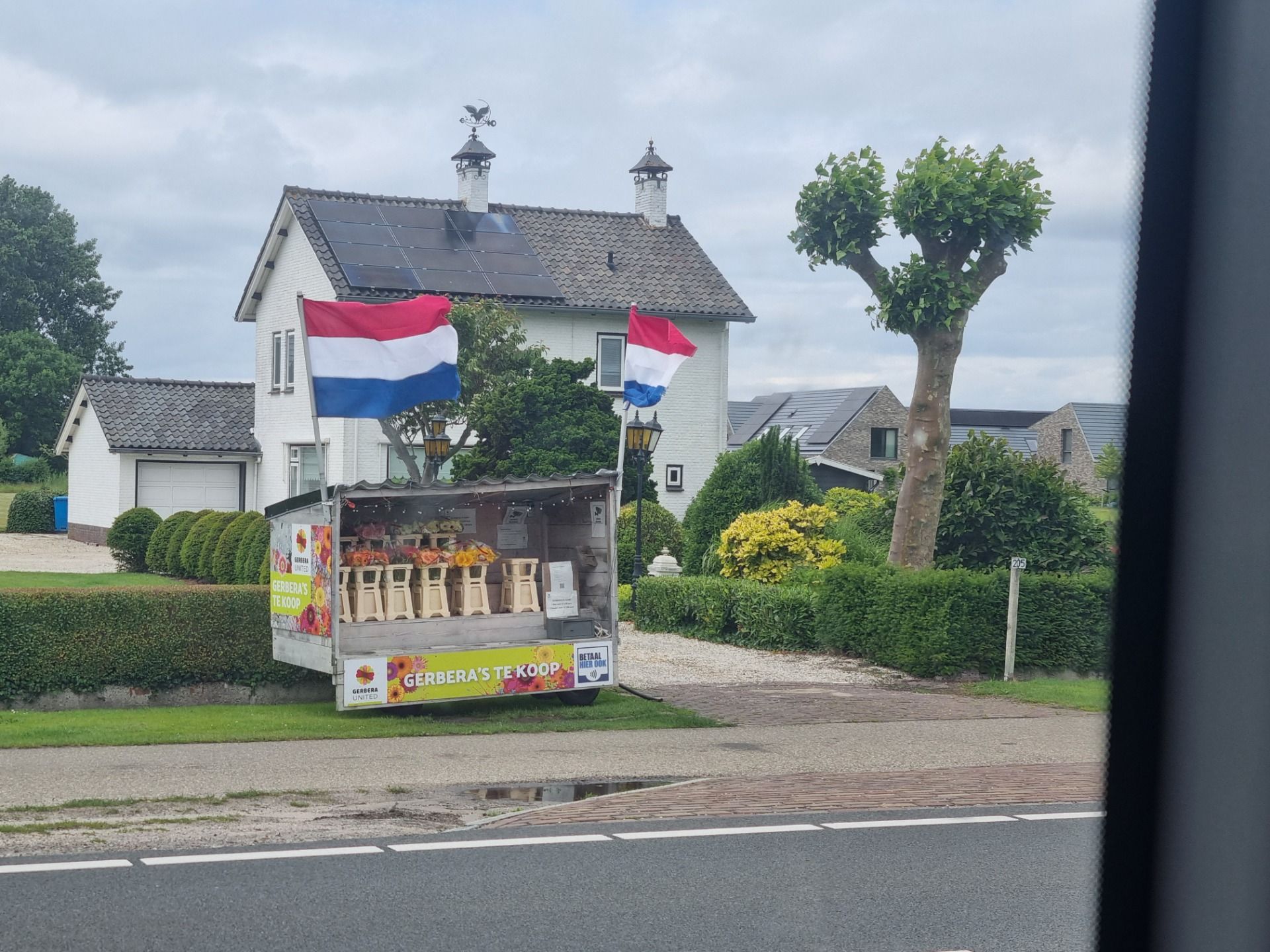 Some random place selling flowers on the bus back to Leiden.