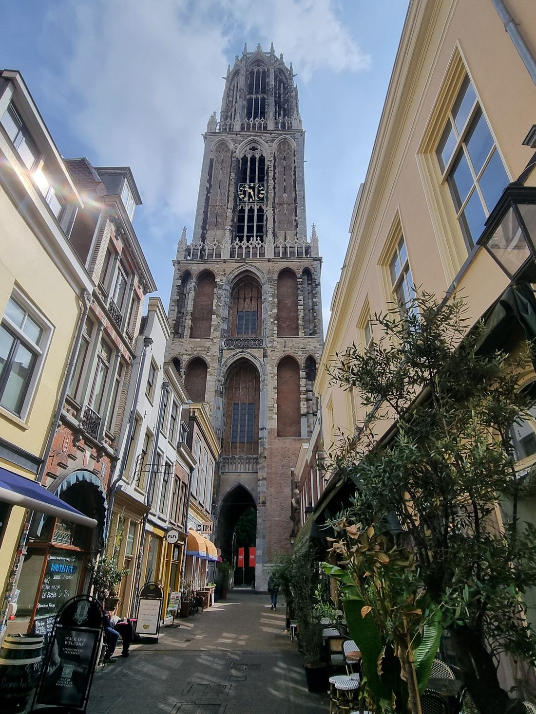 And on this trip. We did not have enough time to get to the top, though I was very tempted.