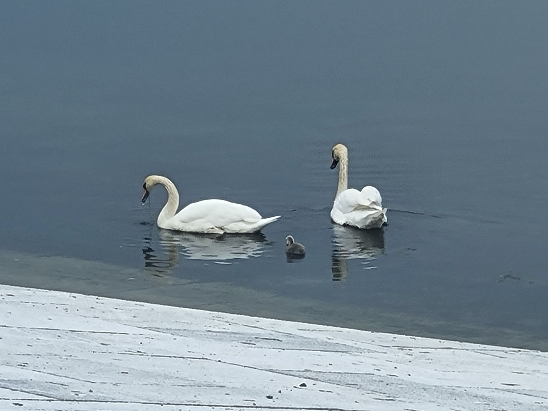 Nice to see a bit of wildlife enjoying the surrounds as well.