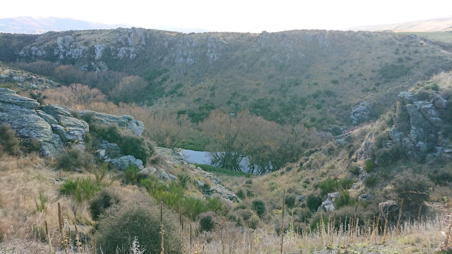 ...with shrubbery and schist rock being prominent features here.