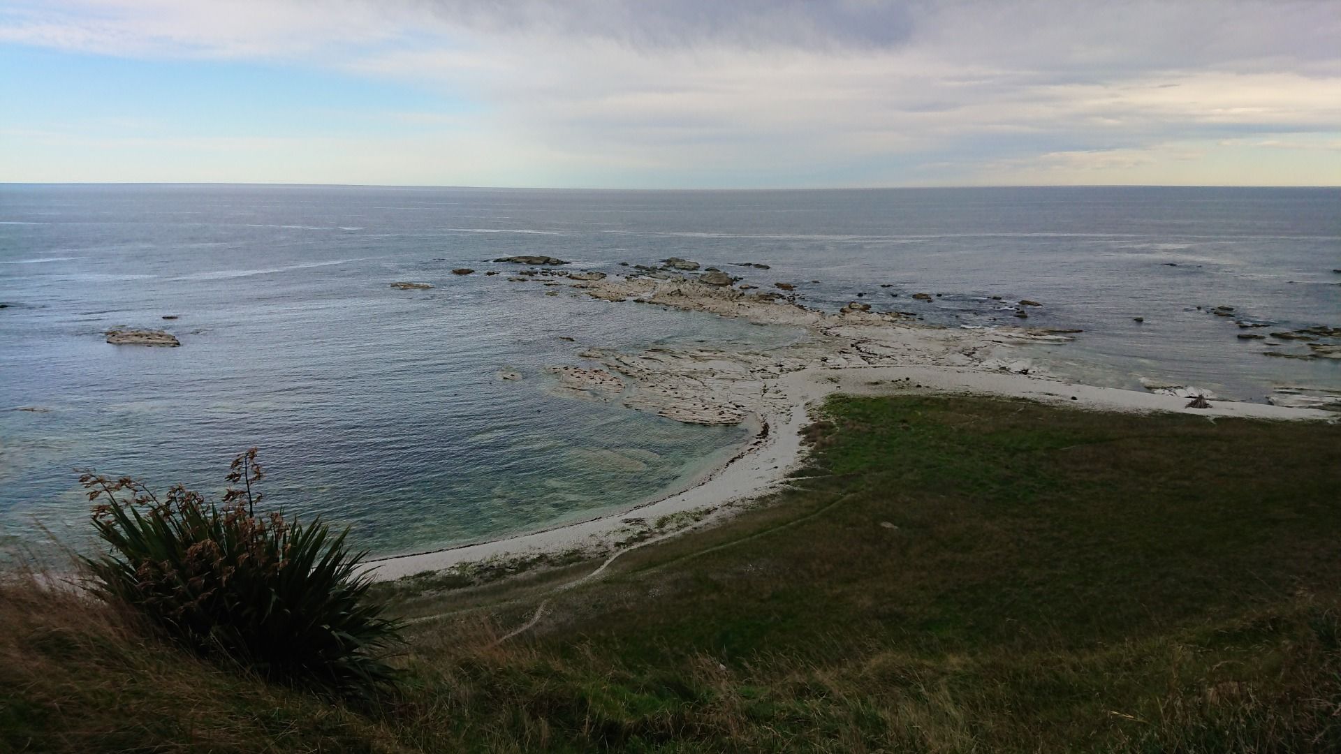 Down there is Point Kean seal colony!