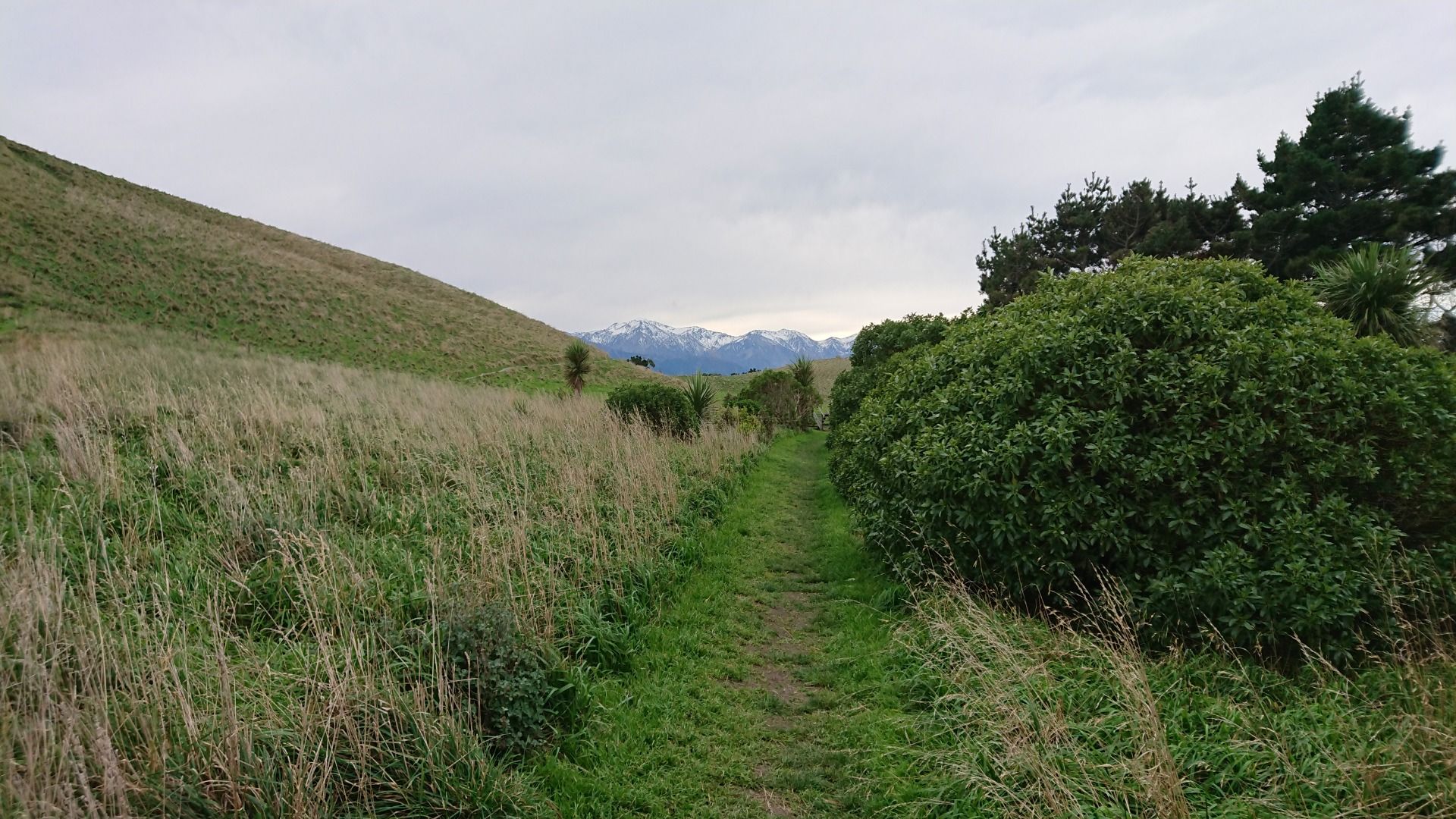 ...before heading back down this path looking towards the mountains