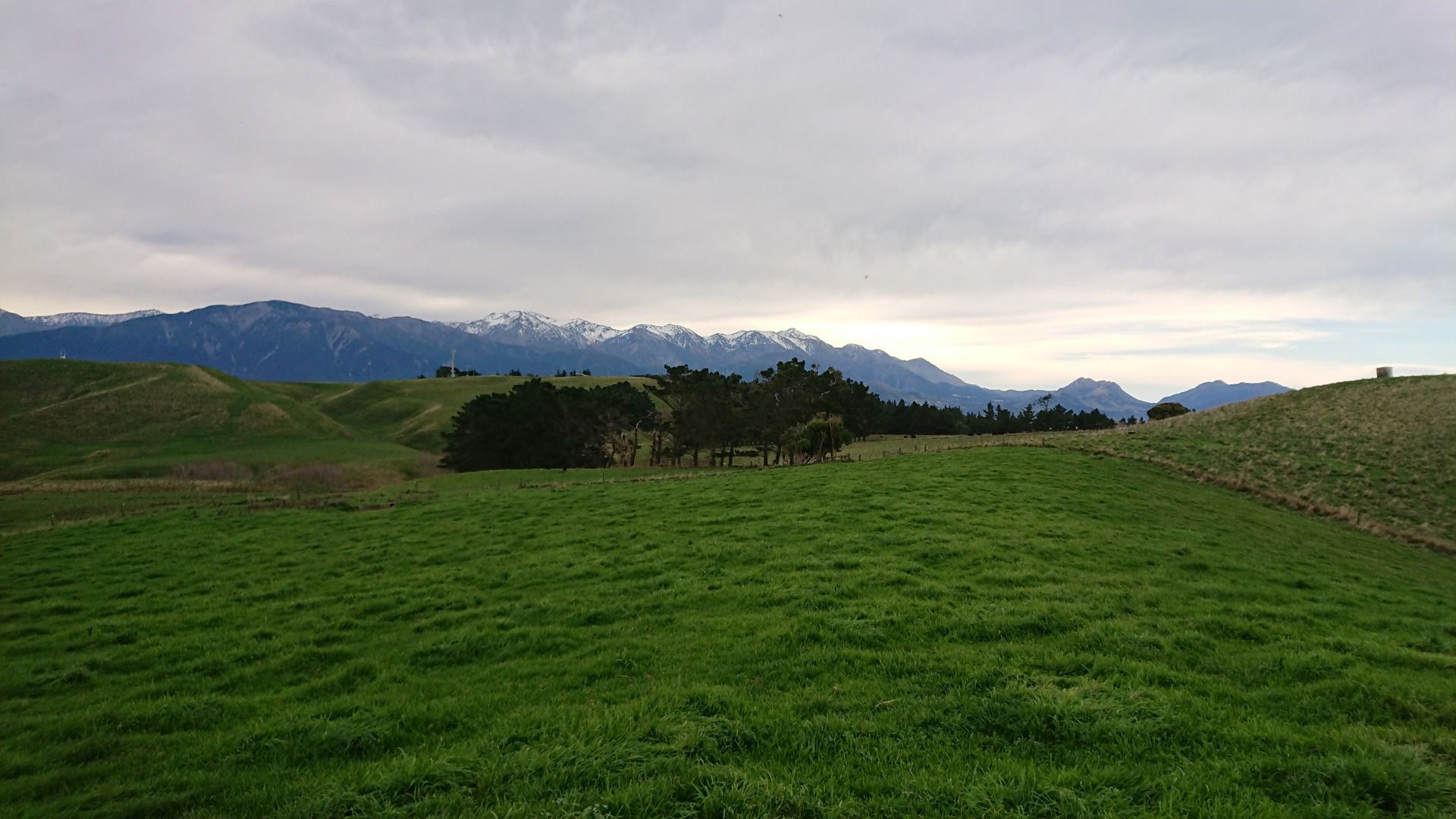 Walking over the farmland to South Bay...