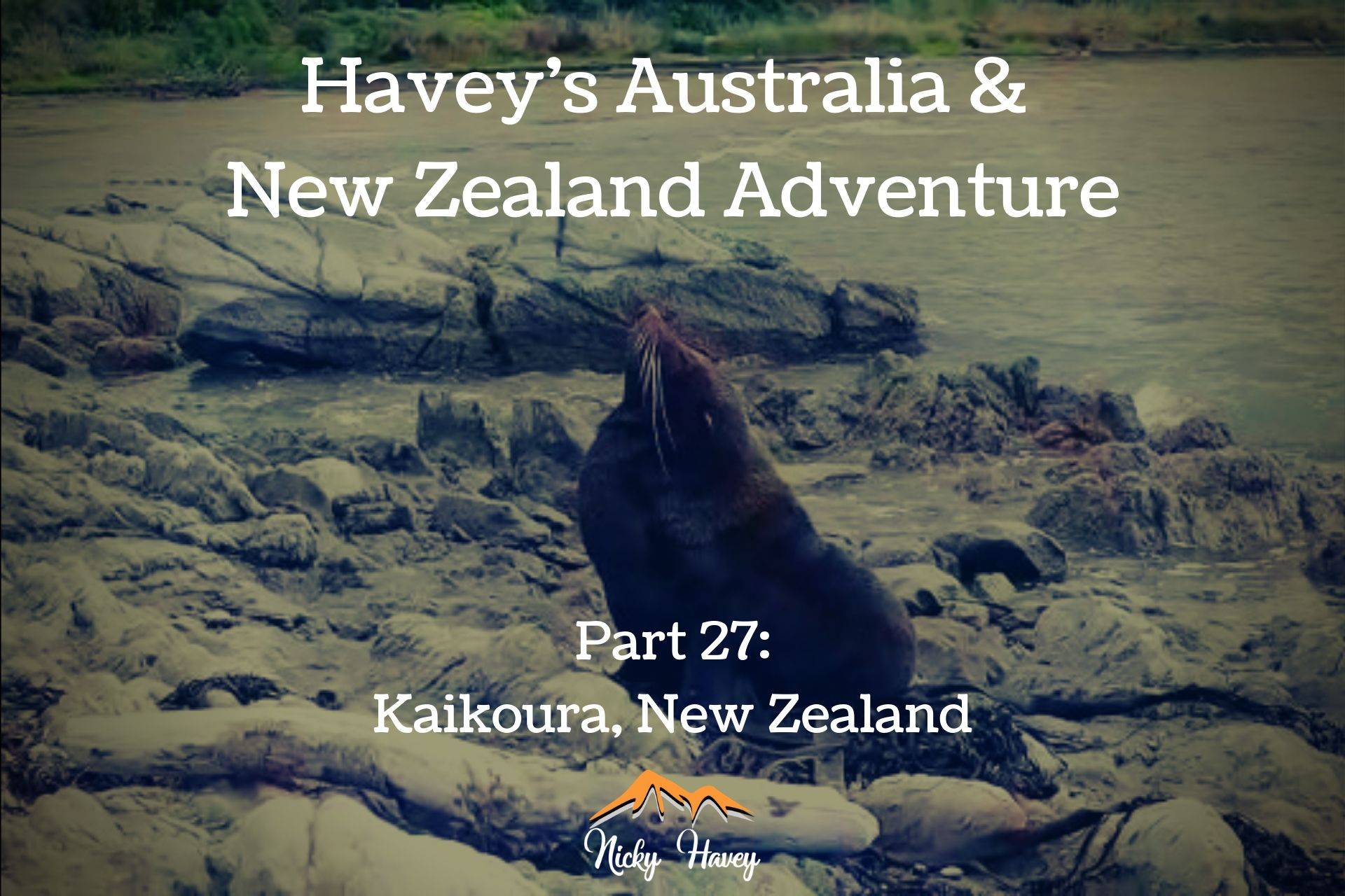 Havey's Australia & New Zealand Adventure Part 27 - Kaikoura, New Zealand