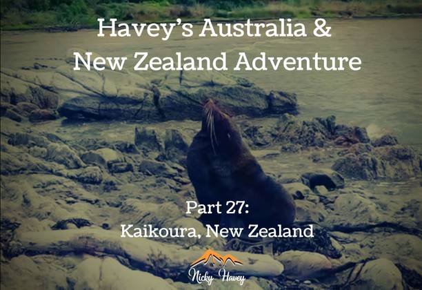 Havey’s Australia & New Zealand Adventure Part 27 - Kaikoura, New Zealand