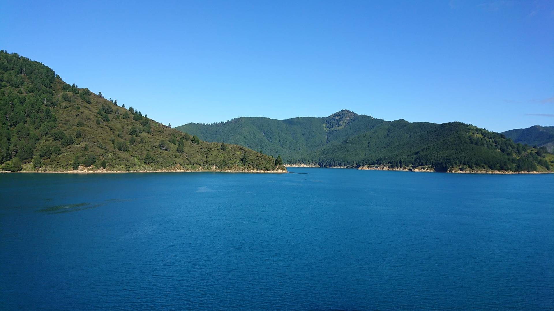 The skies cleared as the ferry entered the Marlborough Sounds...
