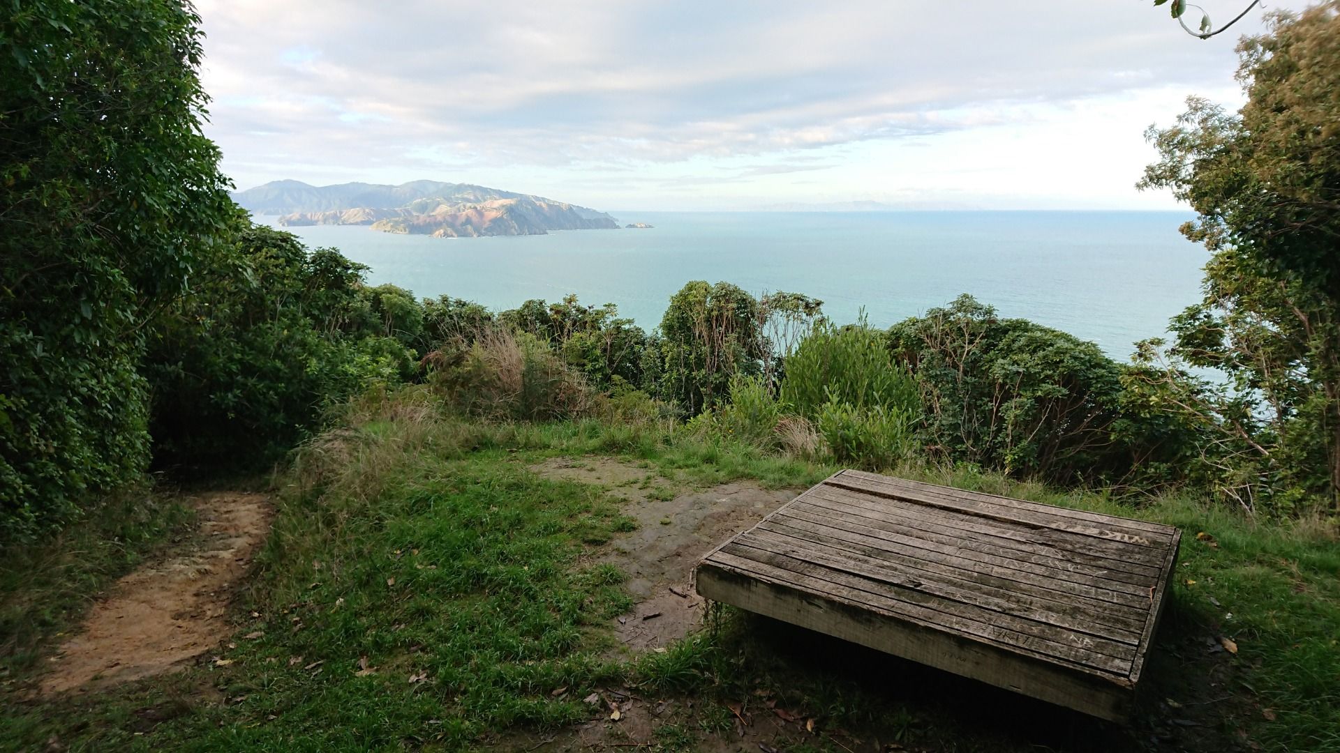 Here’s the viewing platform (it was covered in ants)!