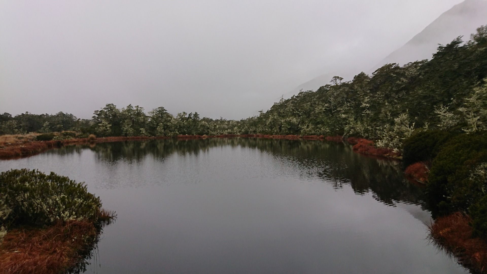 Small lake at St James Walkway